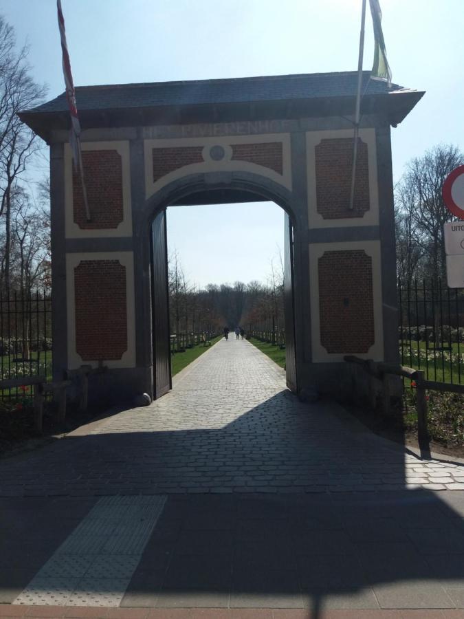 Quiet Apartment In Antwerp Near Parc - B&B Intermezzo - Business & Leisure מראה חיצוני תמונה
